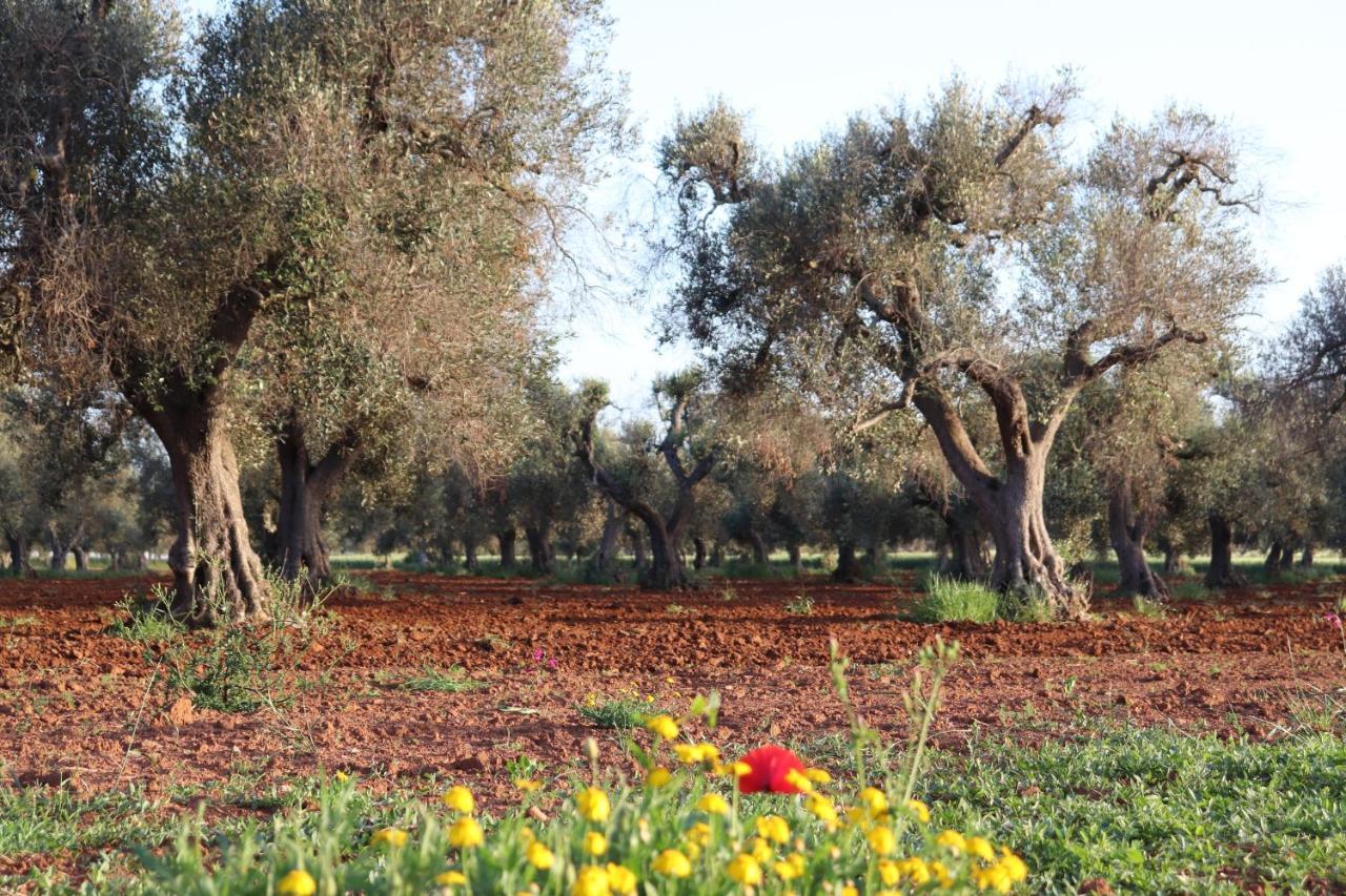 ليتشي B&B Passione Del Sud المظهر الخارجي الصورة